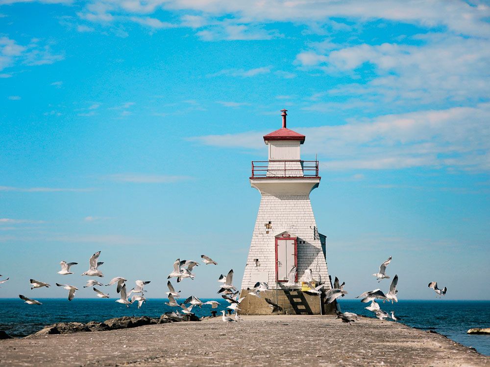 Birds flying around lighthouse over looking Lake Huron