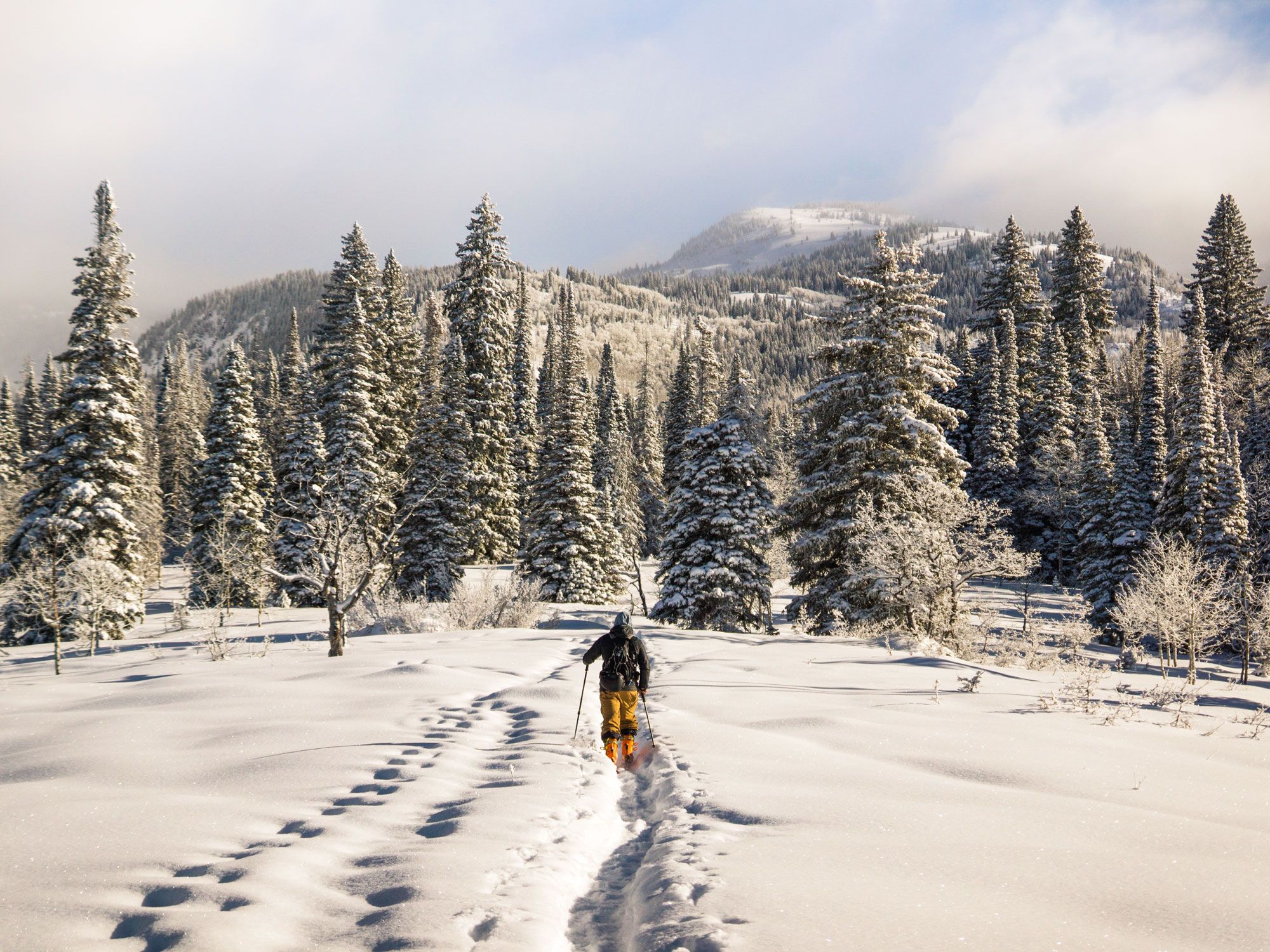 Person cross-country skiing through snowy Colorado mountains