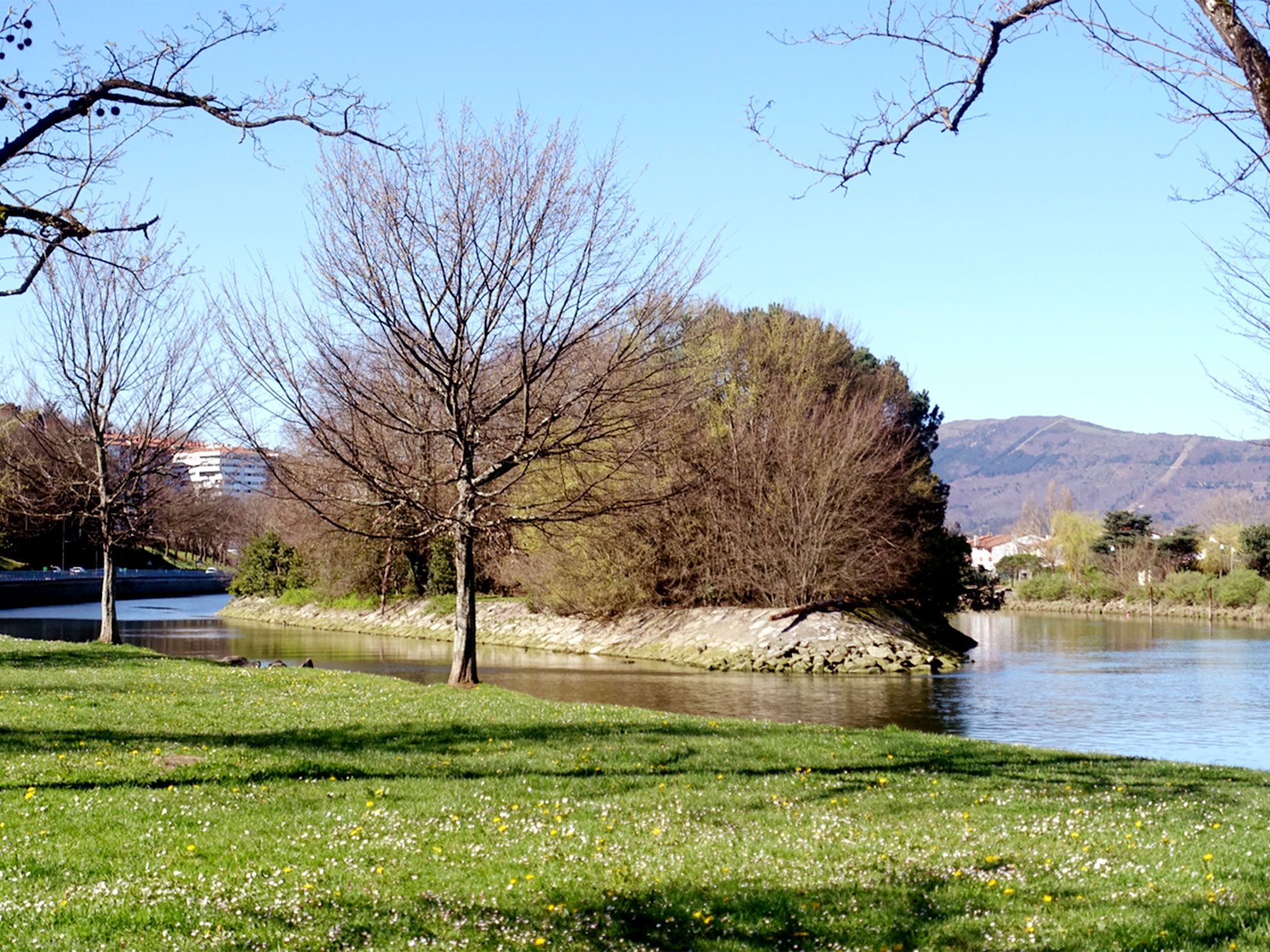 View of tiny Pheasant Island from riverfront