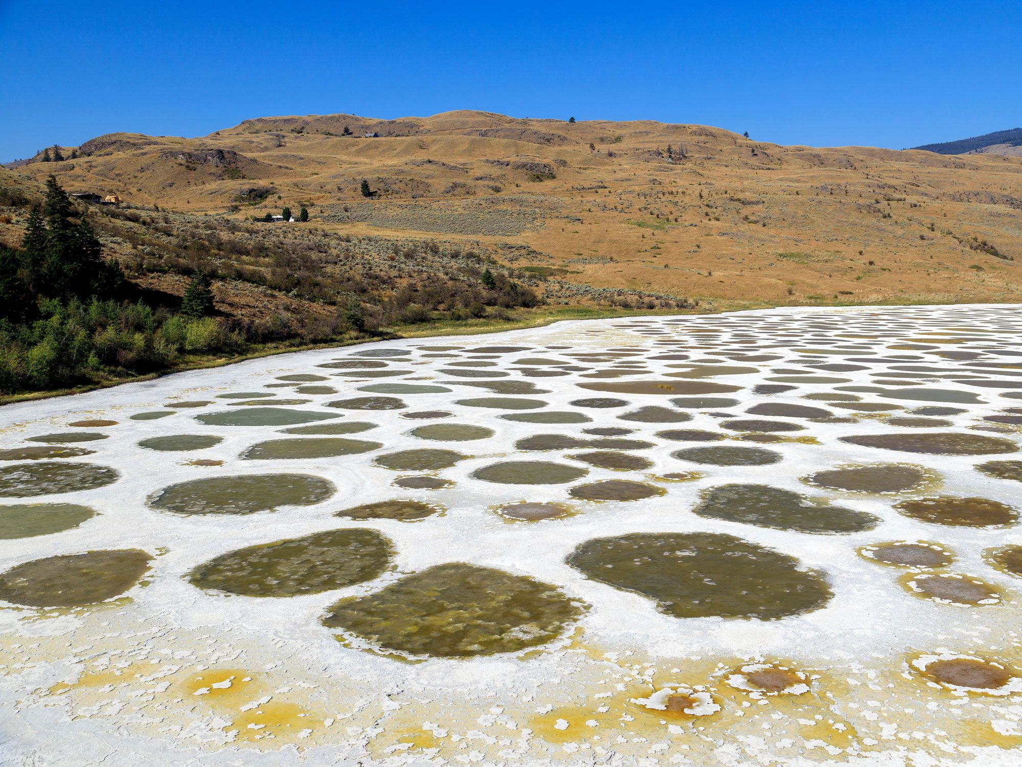 Unique spotted surface of British Columbia's Spotted Lake