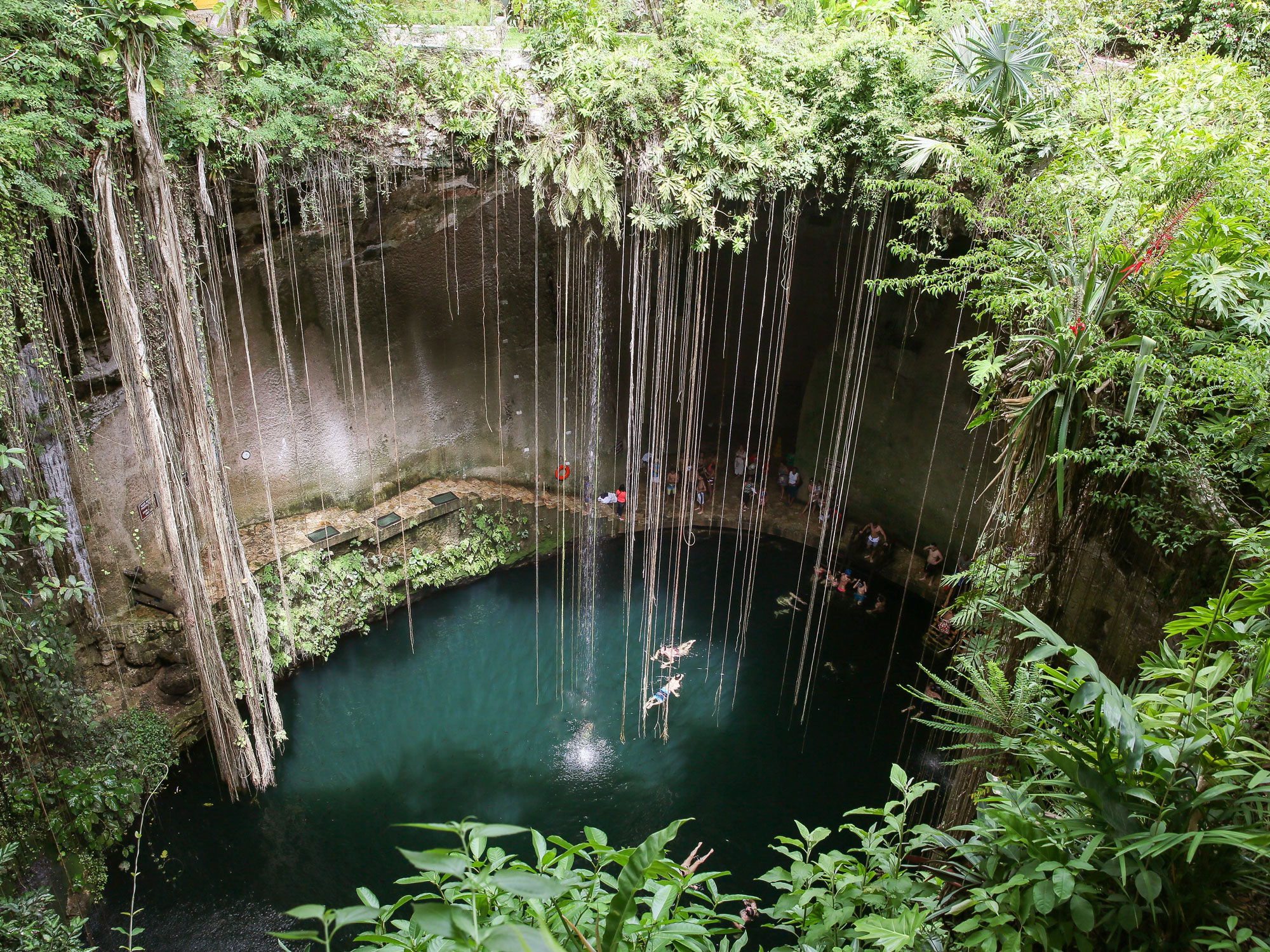 6 Cool Cenotes to Visit Around the World - Daily Passport