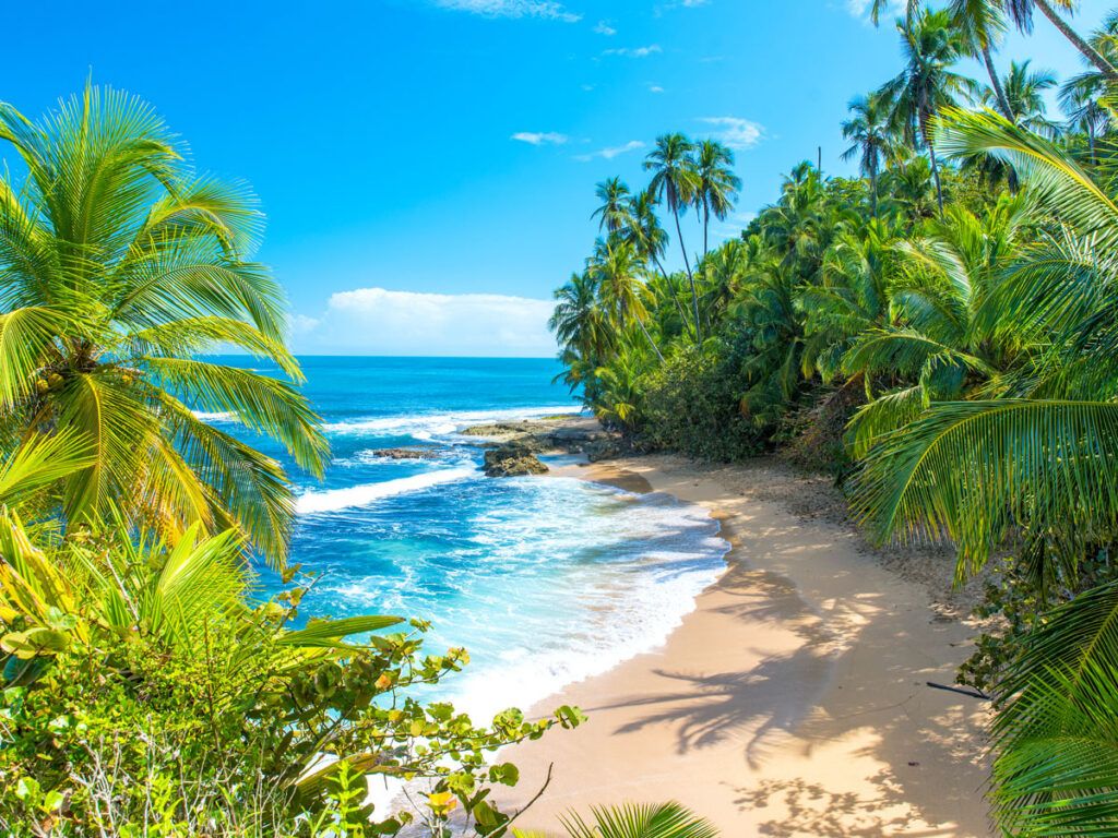White-sand beach in Costa Rica framed by palm trees