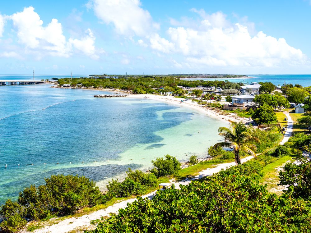 Aerial view of palm trees, homes, and sandy beach in the Florida Keys