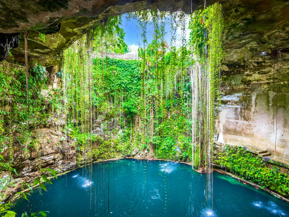 View inside Cenote Ik Kil in Mexico, with vines hanging above water in open-air cavern