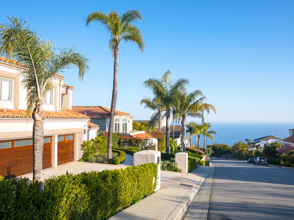 Palm trees lining residential neighborhood with ocean views in Los Angeles, California