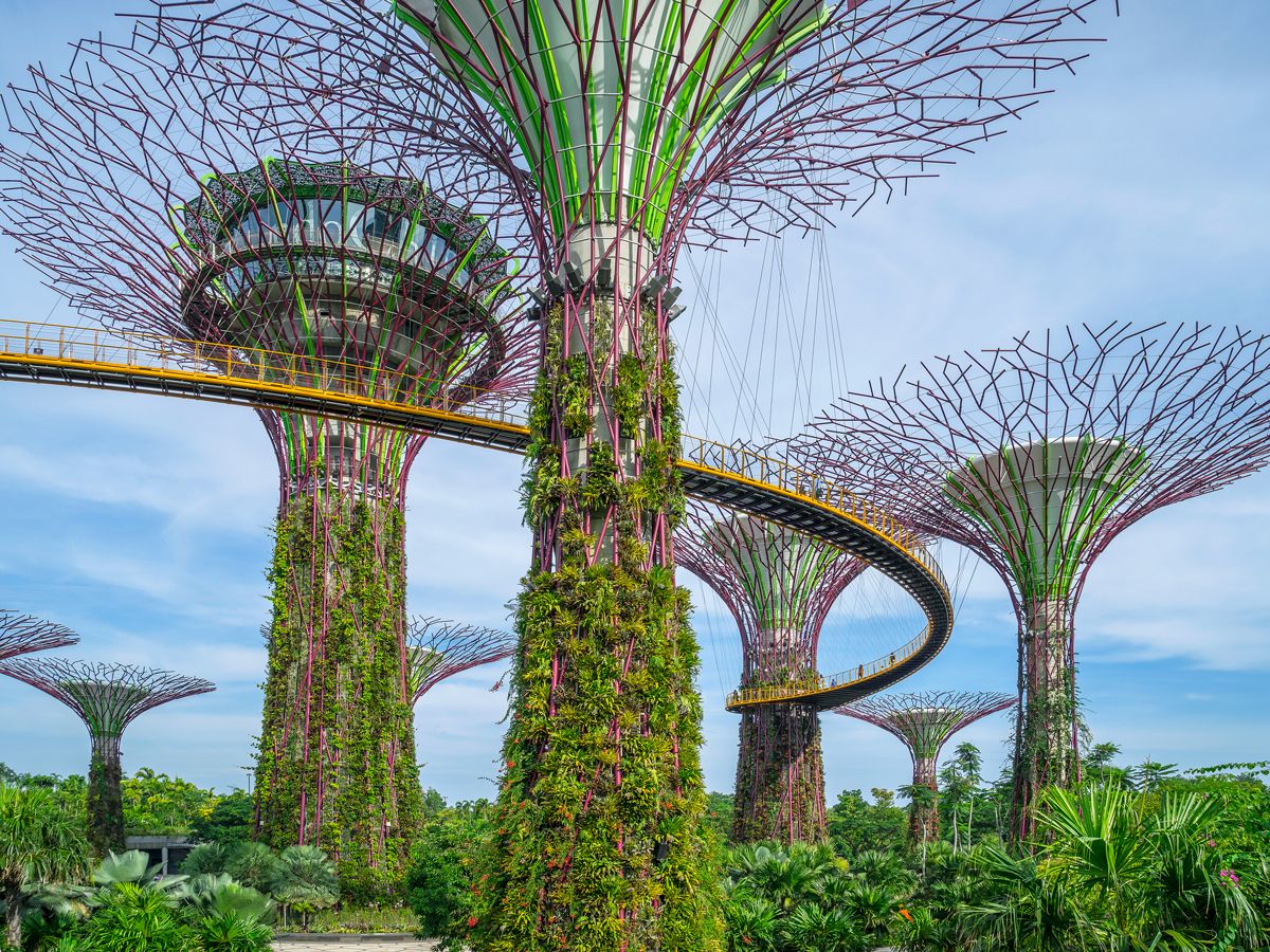 The "Supertrees" of Singapore's Gardens by the Bay