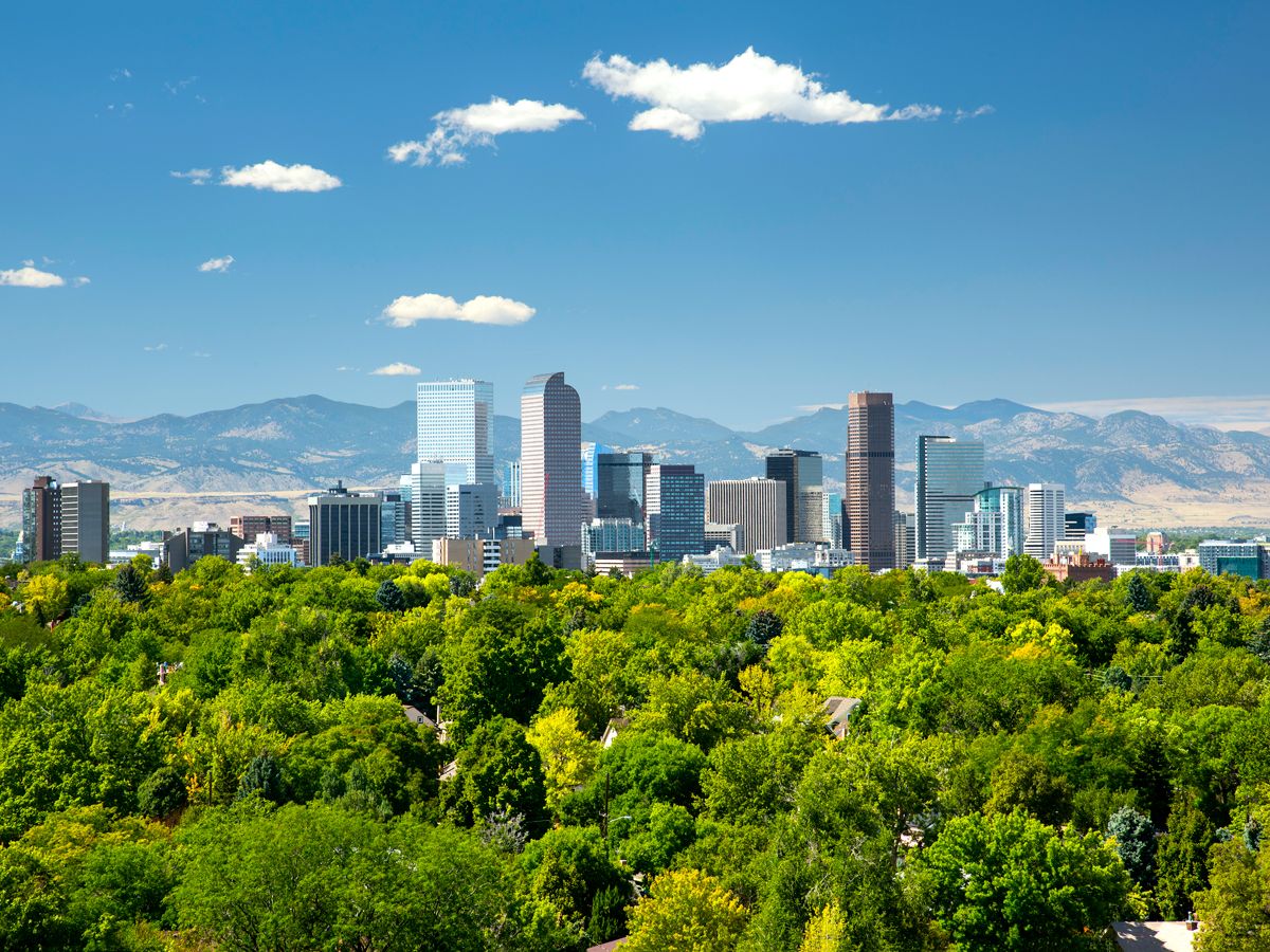Skyscrapers rising above treetops in Denver, Colorado