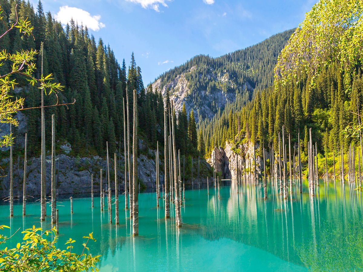 Bare tree trunks jutting out of Kaindy Lake in Kazakhstan