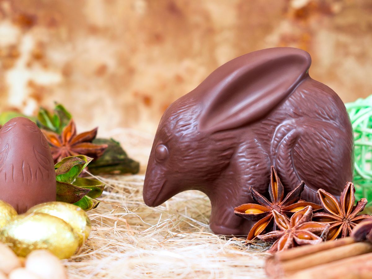 Chocolate version of Australia's Easter Bilby
