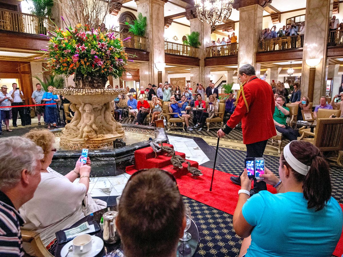 Duck procession taking place in the lobby of the Peabody Memphis
