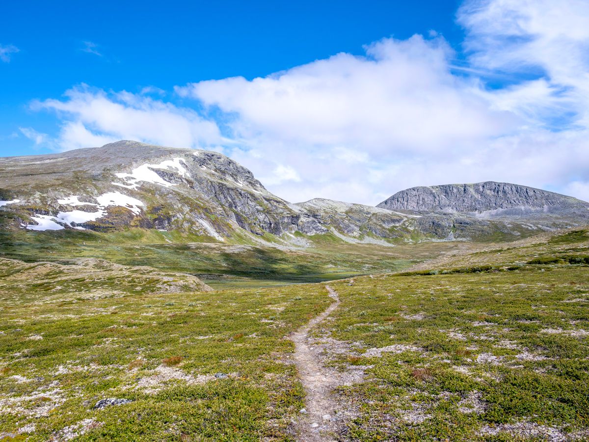Tundra landscape of Dovrefjell National Park in Norway