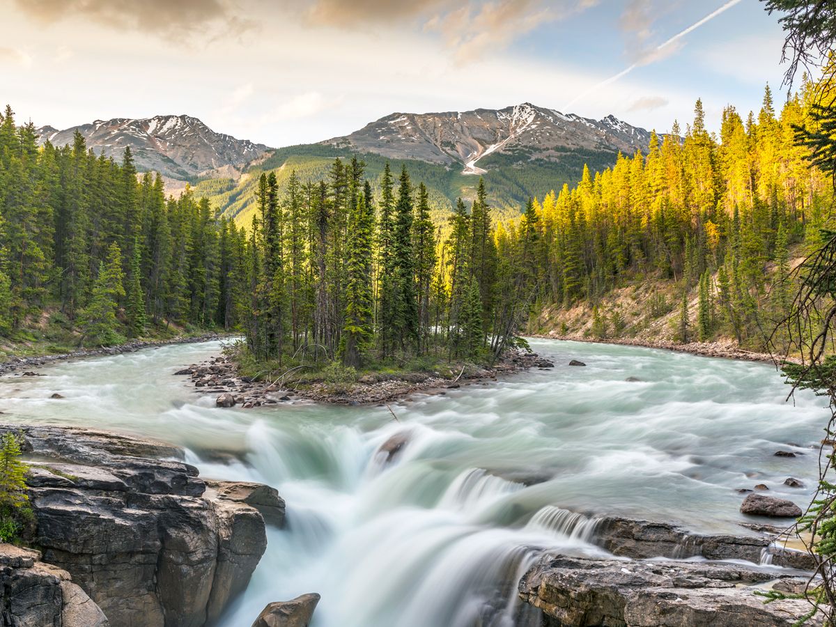 Waterfall in Canada's Jasper National Park