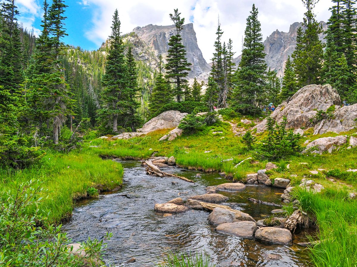 River, forest, and mountain in Colorado national park