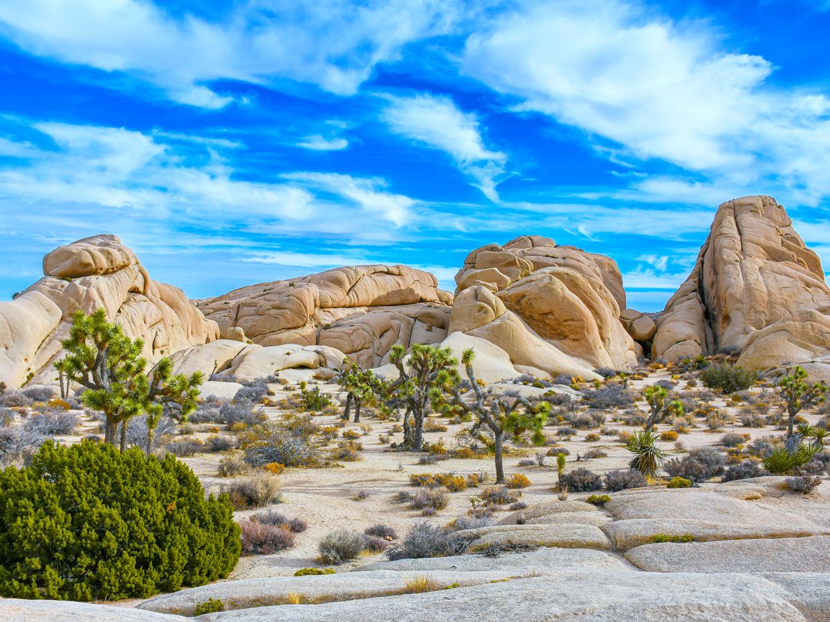 Rock formations in Joshua Tree National Park in California