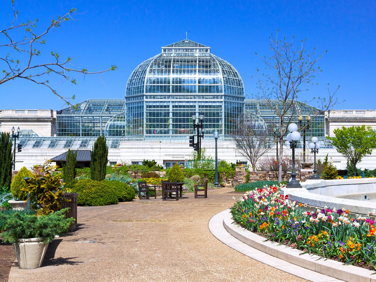 Flowers along pathway leading to  conservatory at the U.S. Botanic Garden in Washington, D.C.