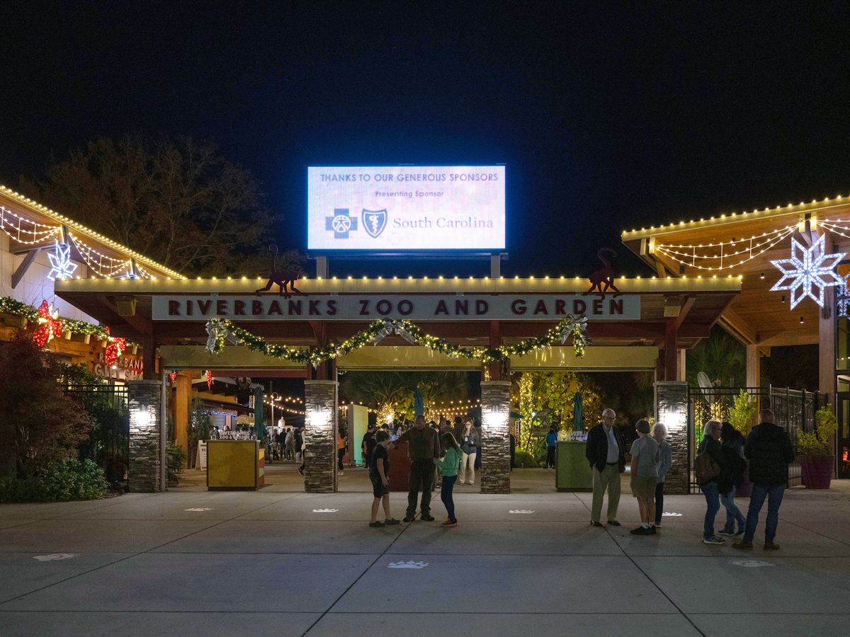Guests visiting Riverbanks Zoo and Garden in South Carolina at night