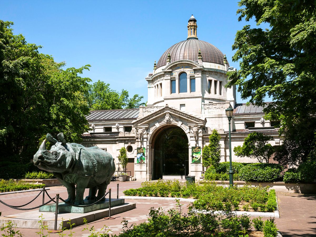 Rhinoceros statute at the Bronx Zoo in New York City