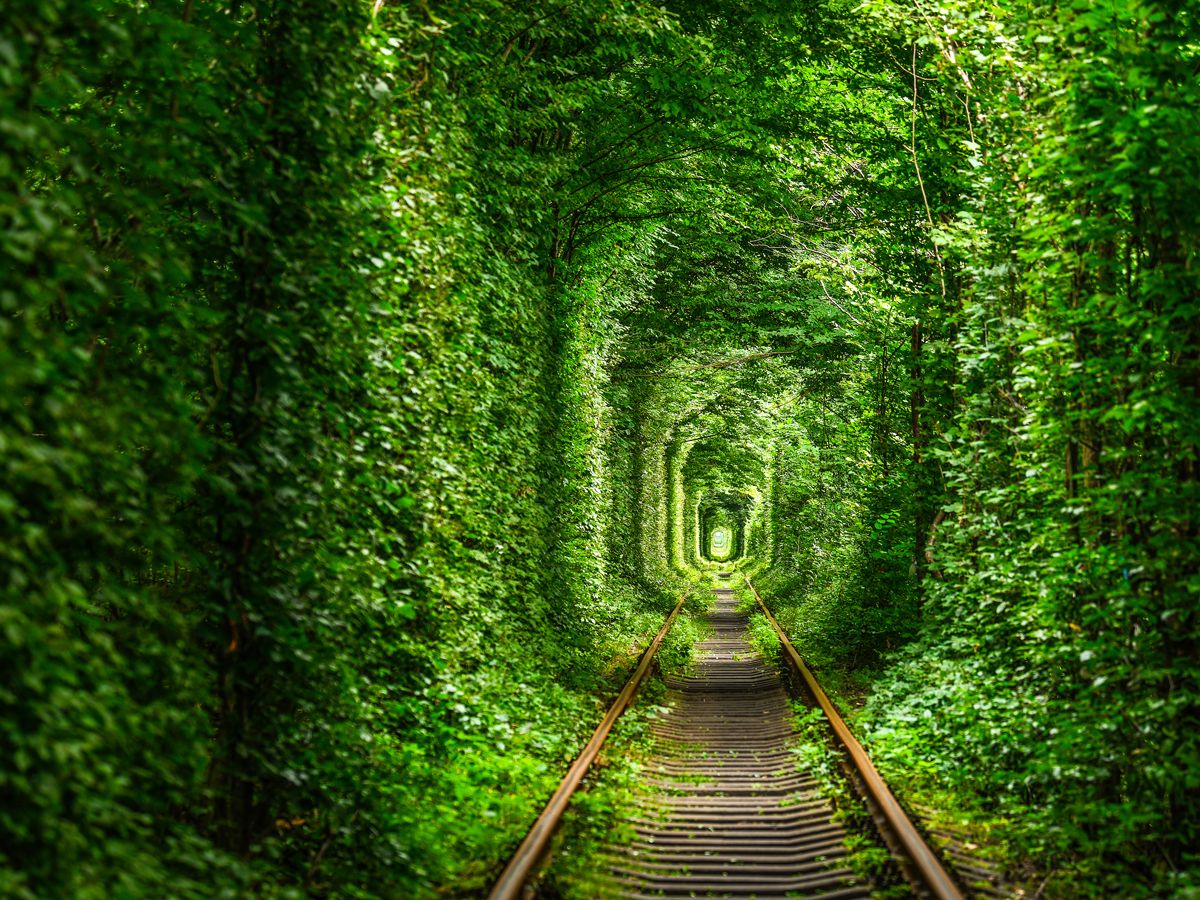 Railroad track surrounded by a tunnel of trees in Ukraine