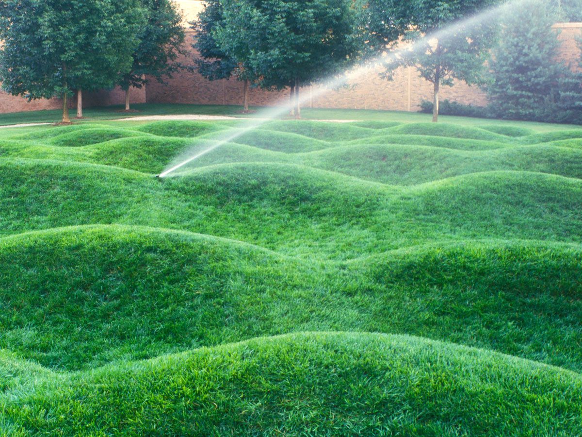Wave Field in Ann Arbor, Michigan