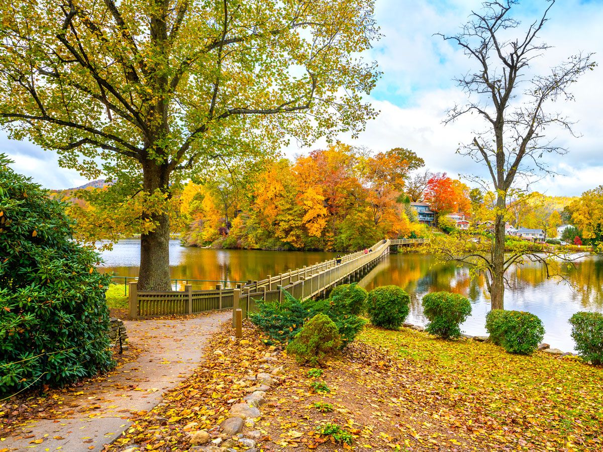 Fall foliage in park with lake in Asheville, North Carolina