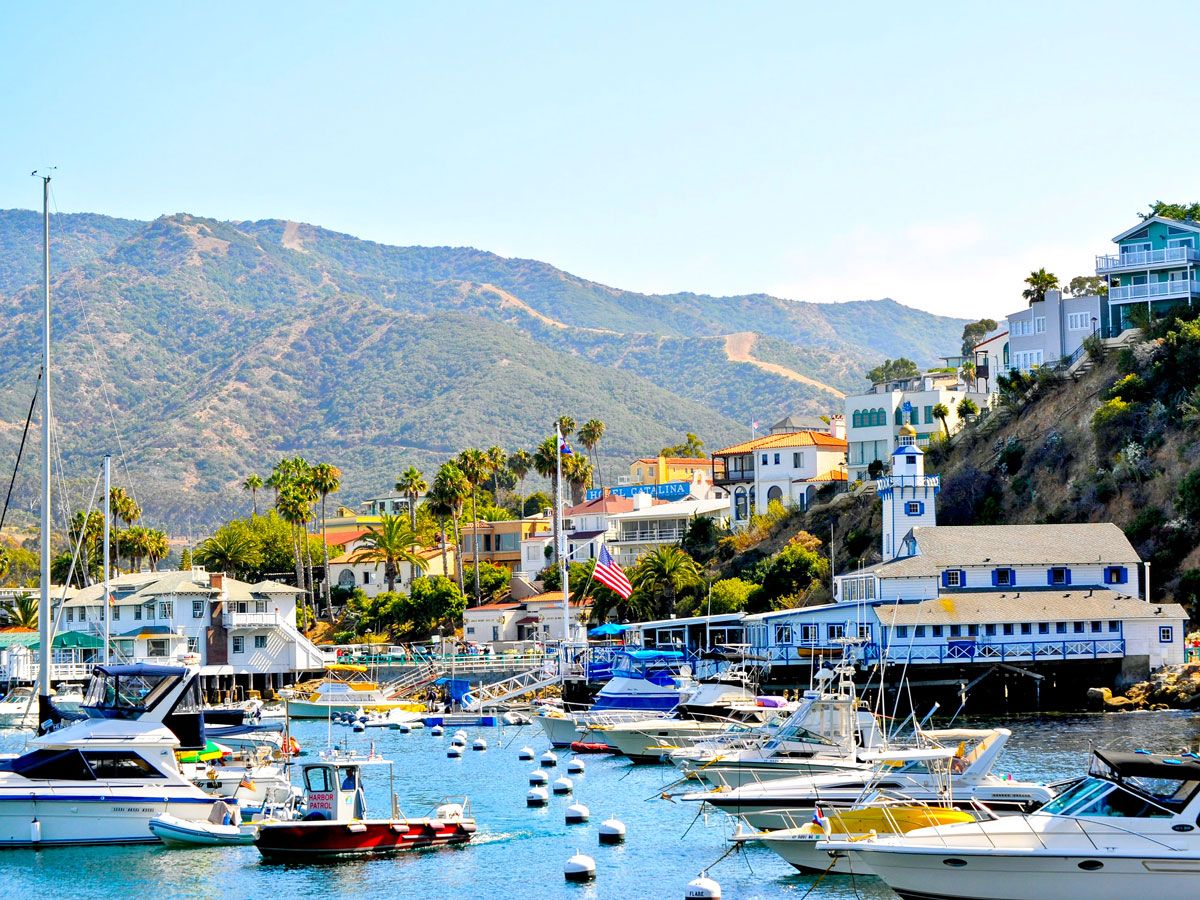 Boats in harbor in Avalon on Catalina Island, California