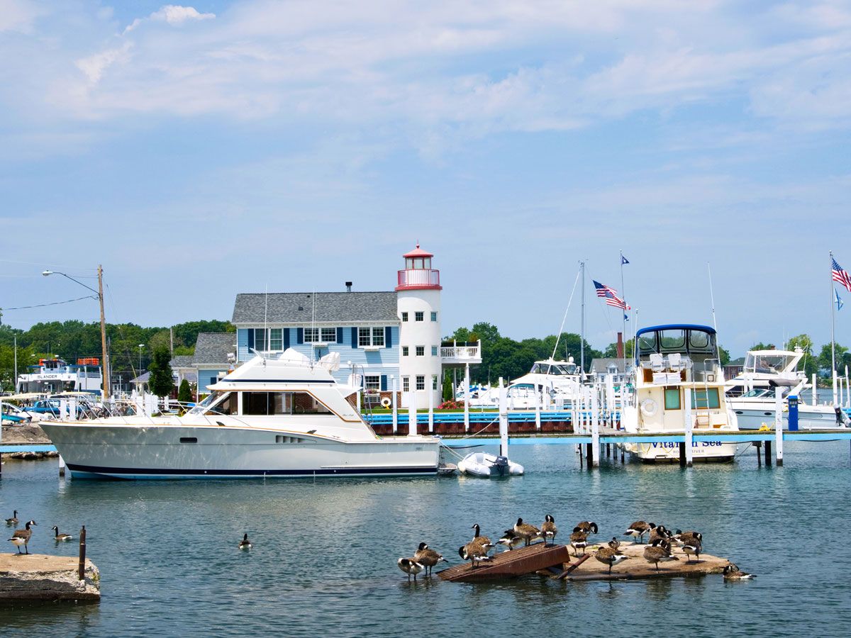 Birds and boats in marina in Put-in-Bay, Ohio