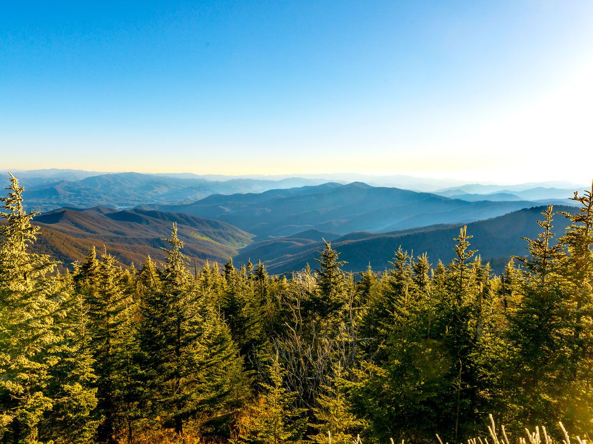 View of Great Smoky Mountains above treetops