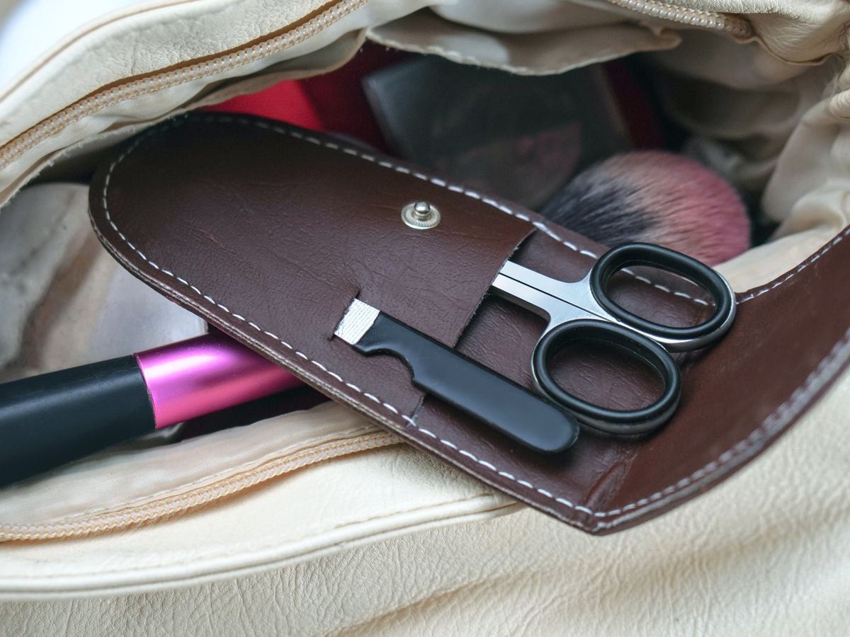 Scissors in carrying case