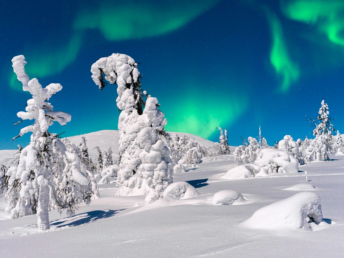 Northern lights above snowy landscape