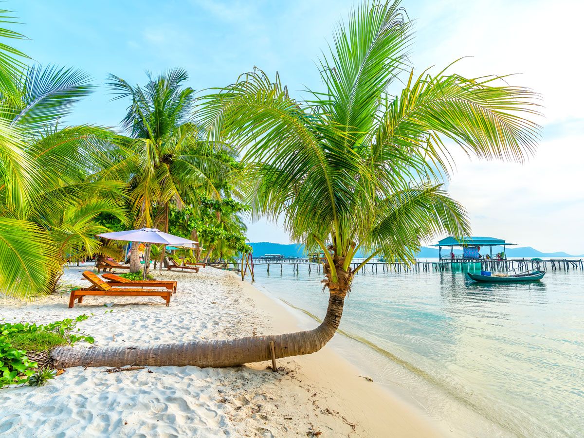 Palm trees on sandy beach in Phu Quoc, Vietnam