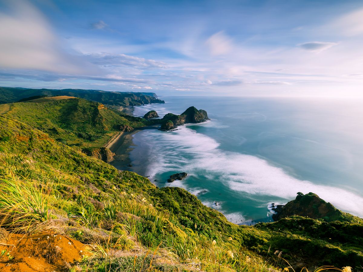 Rugged coastline of New Zealand