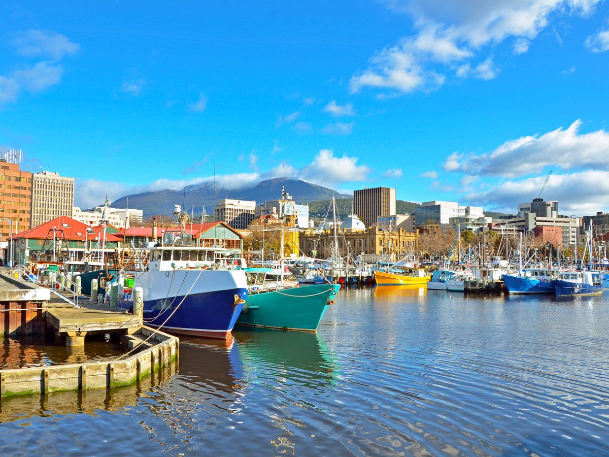 Fishing boats in Hobart Harbour