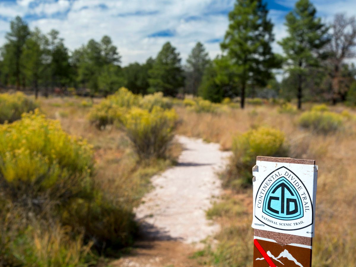 Trail marker for Continental Divide Trail