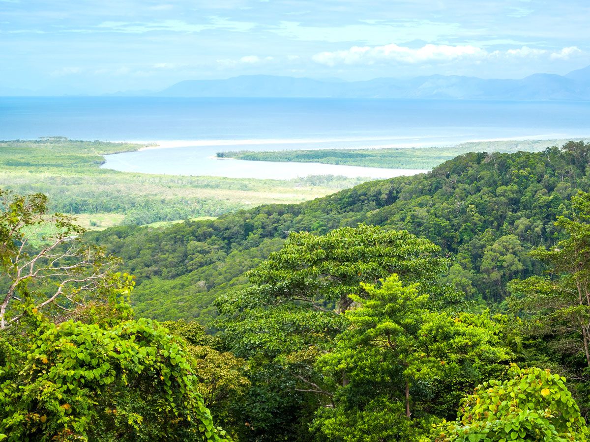 Daintree Rainforest overlooking the Queensland coast