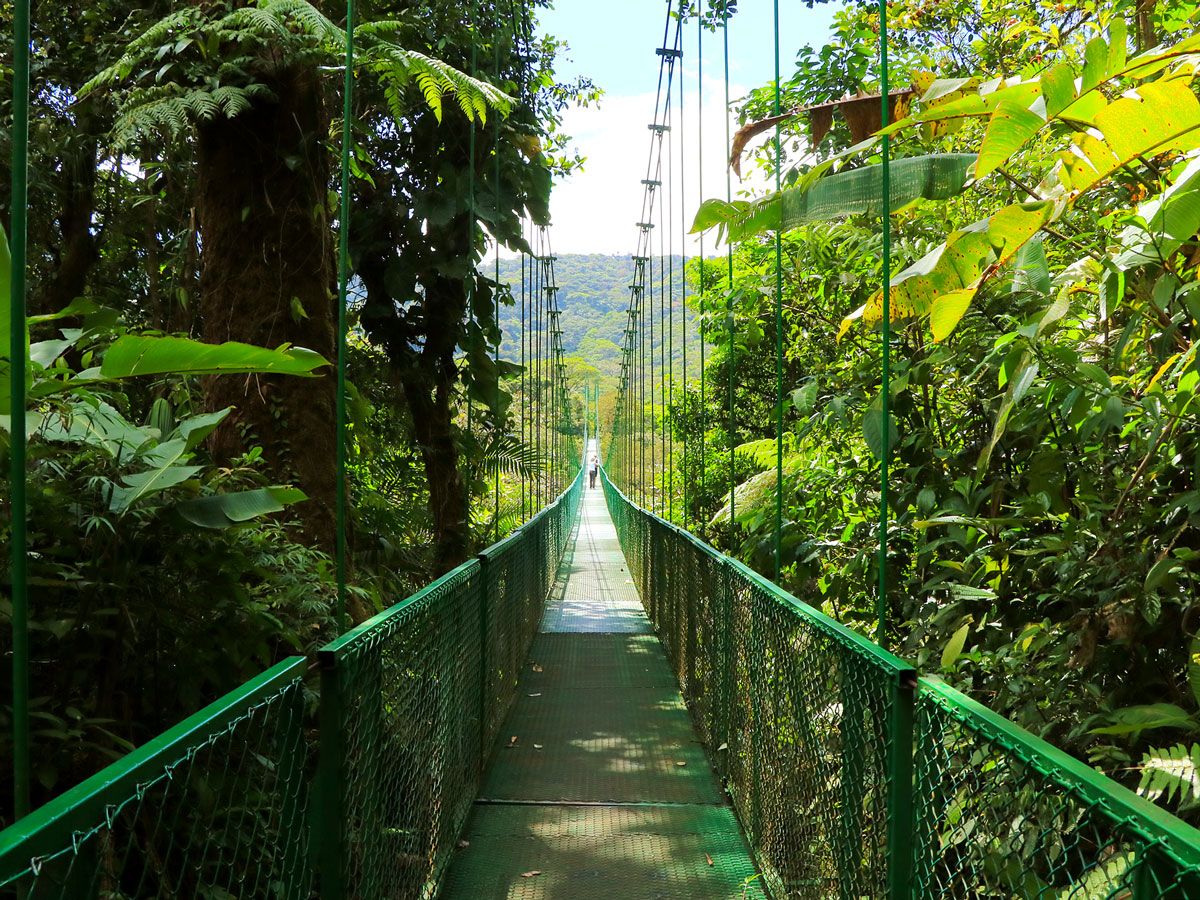 The Sky Walk in Costa Rica's Monteverde Cloud Forest
