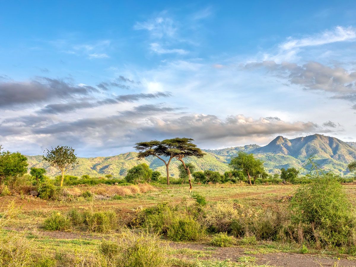Landscape of the Omo Valley of southern Ethiopia 