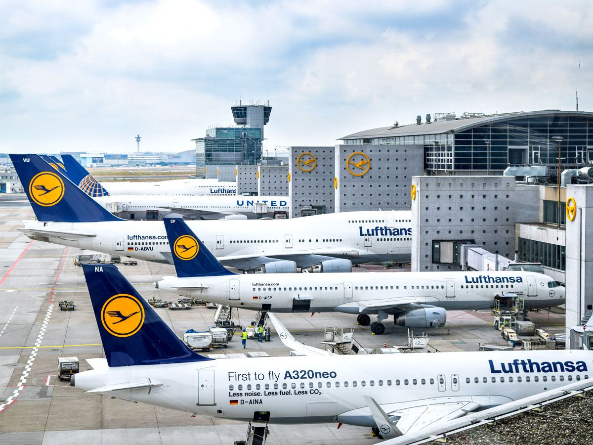 Lufthansa and United aircraft parked at Frankfurt Airport