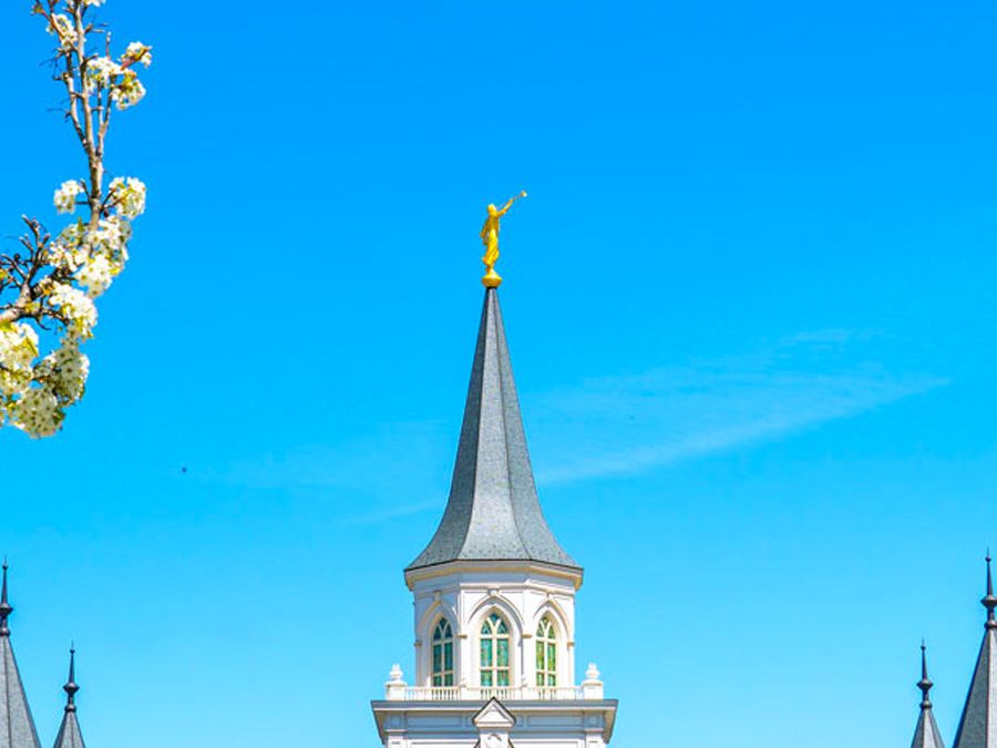Post Banner Image