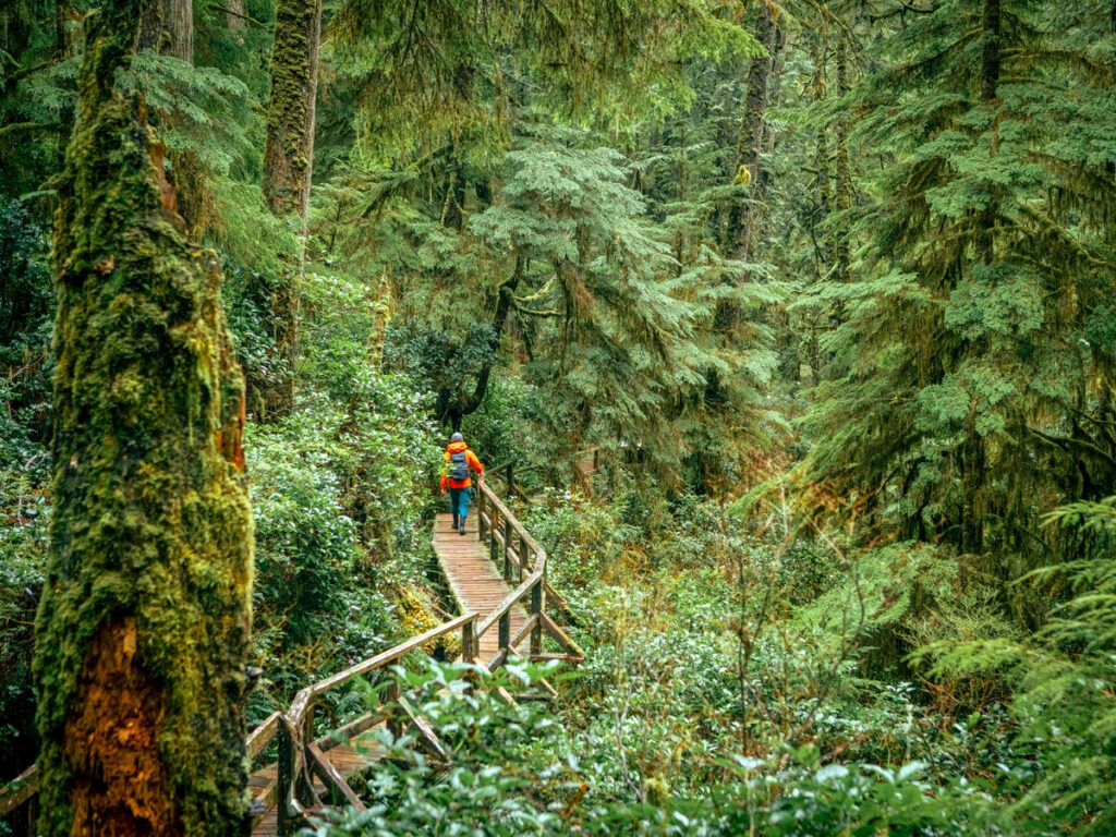 Person walking through Pacific Rim National Park Reserve, British Columbia