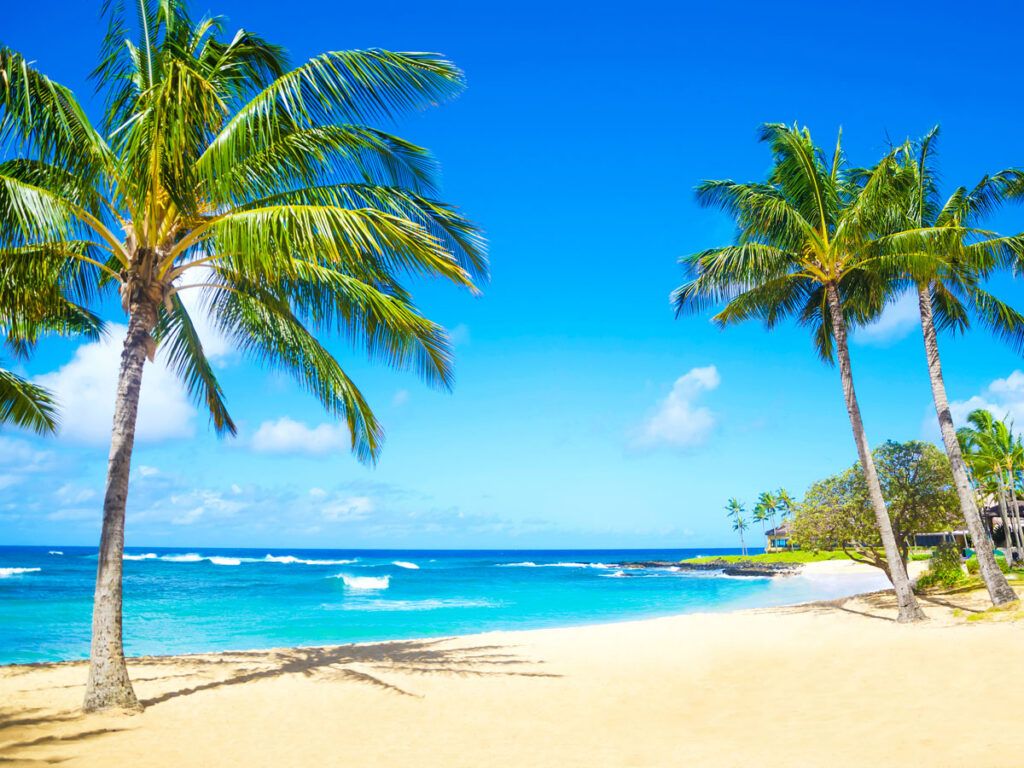 Palm trees on white-sand Hawaiian beach