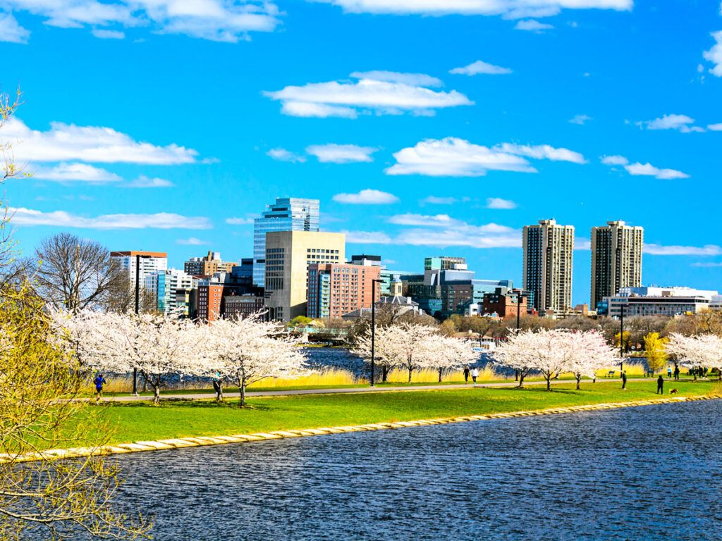 Waterfront park with Boston skyline behind