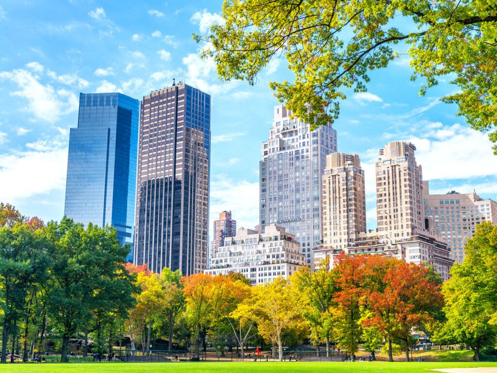 Central Park and NYC skyline