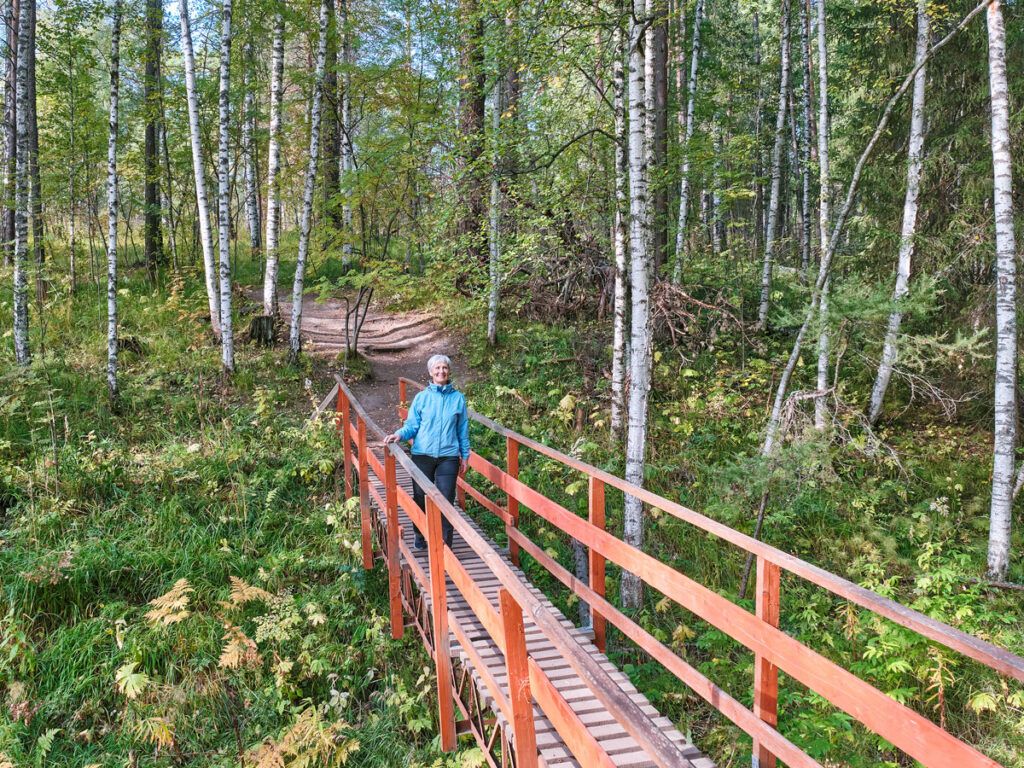 Person walking across bridge in forest