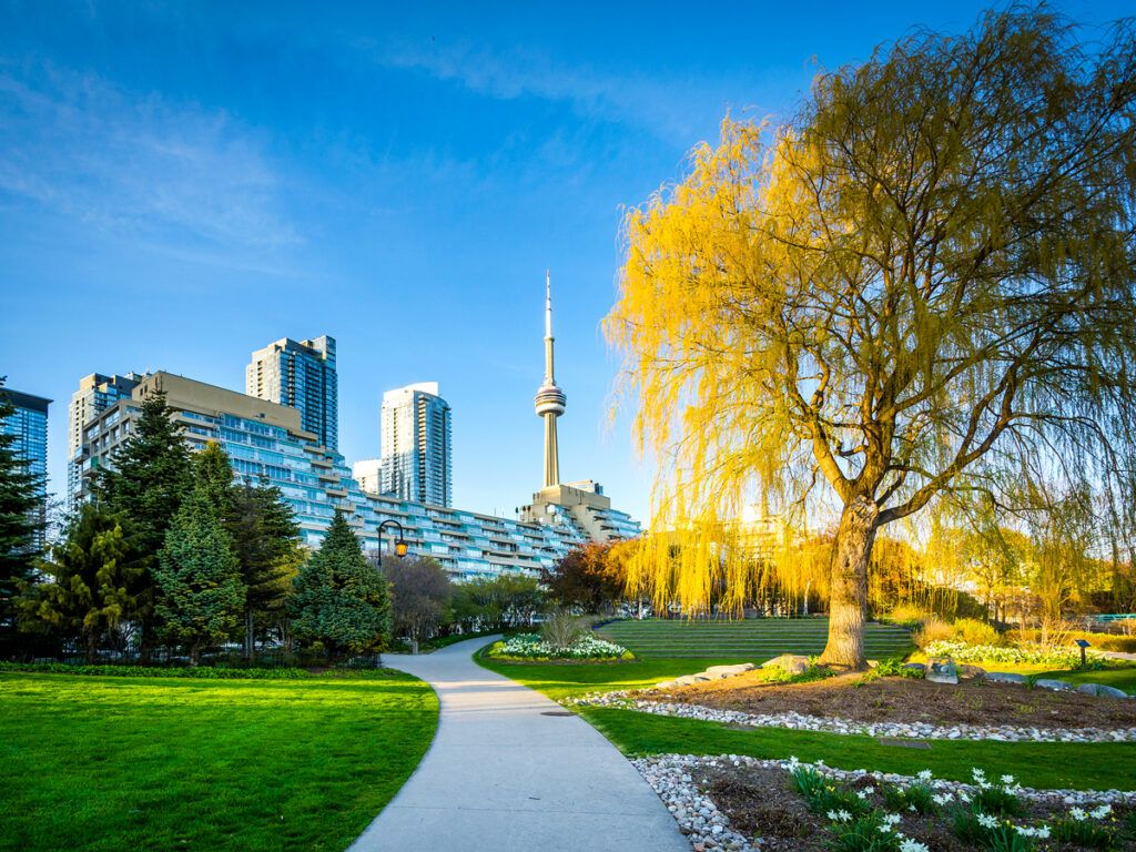 Toronto city park with view of CN Tower