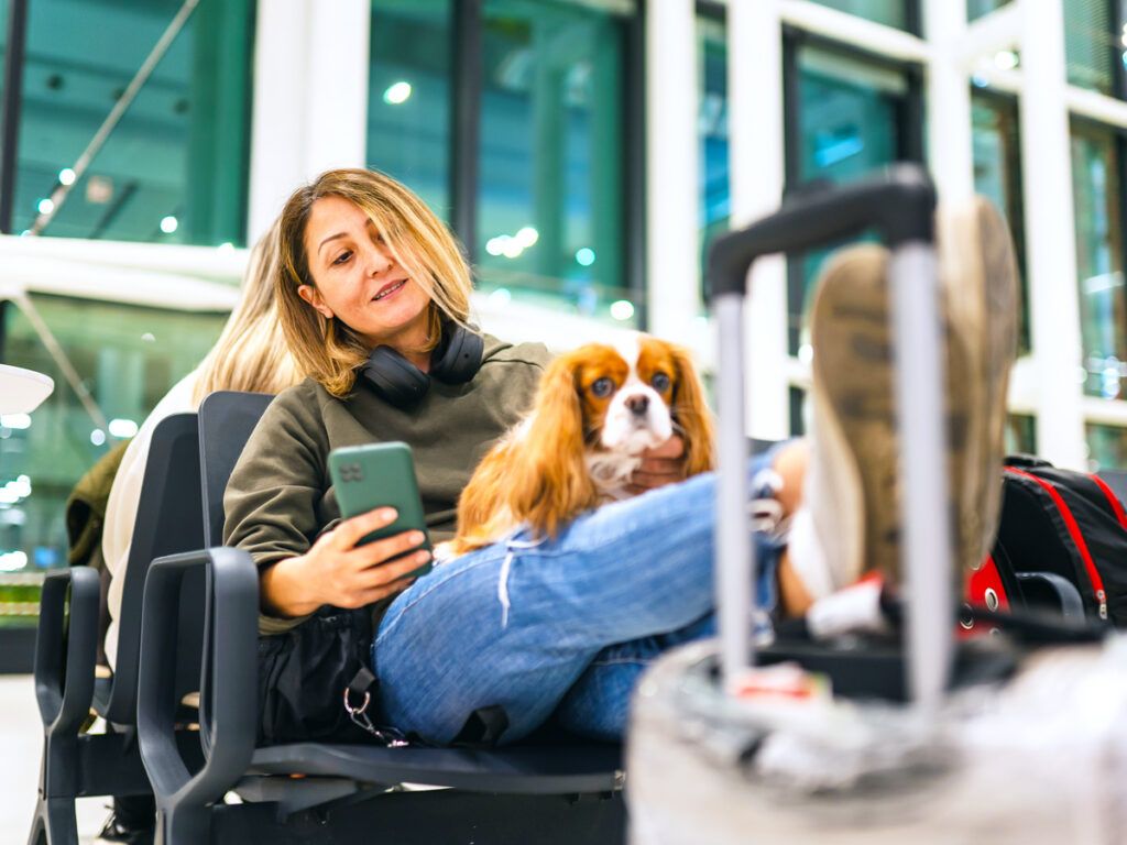 Traveler sitting in airport with dog in lap and feet on suitcase